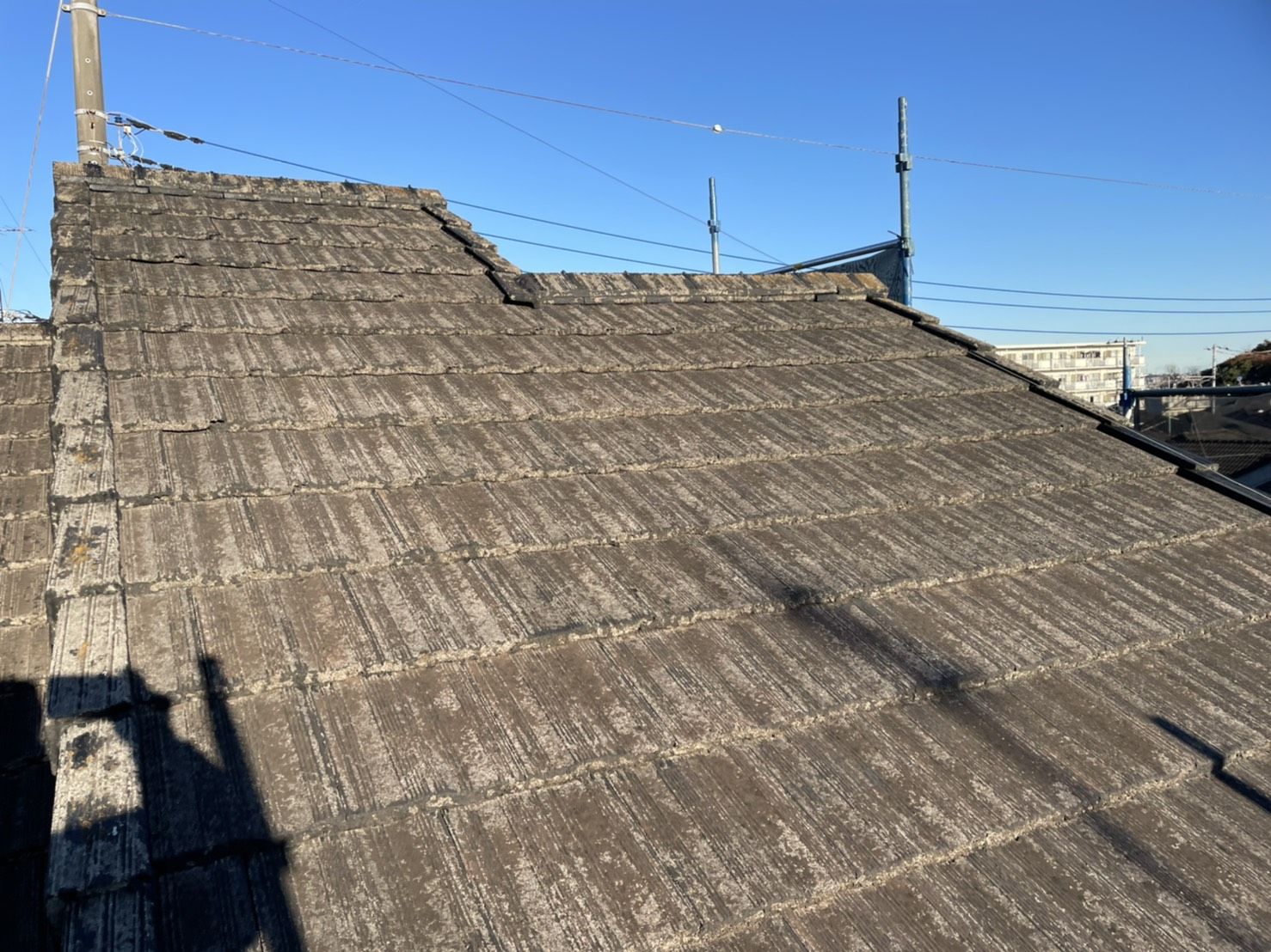 多摩区　葺き替え　ディプロマットスター