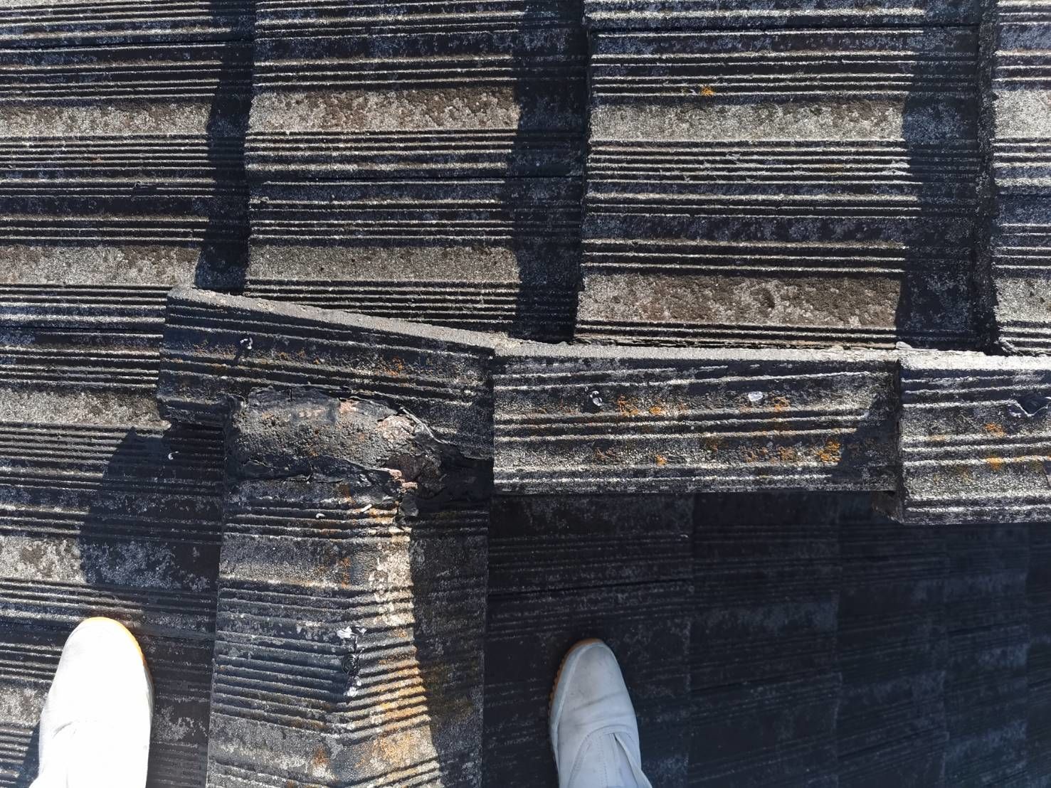 多摩区　葺き替え　ディプロマットスター