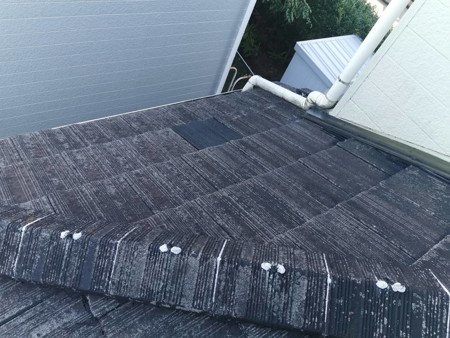 多摩区　葺き替え　ディプロマットスター