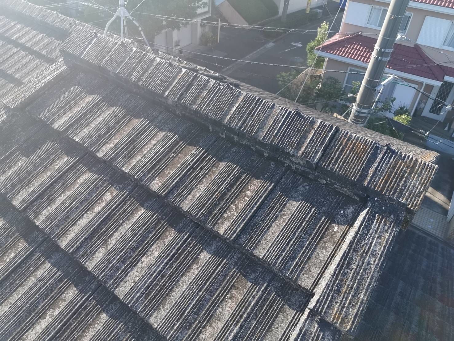 多摩区　葺き替え　ディプロマットスター