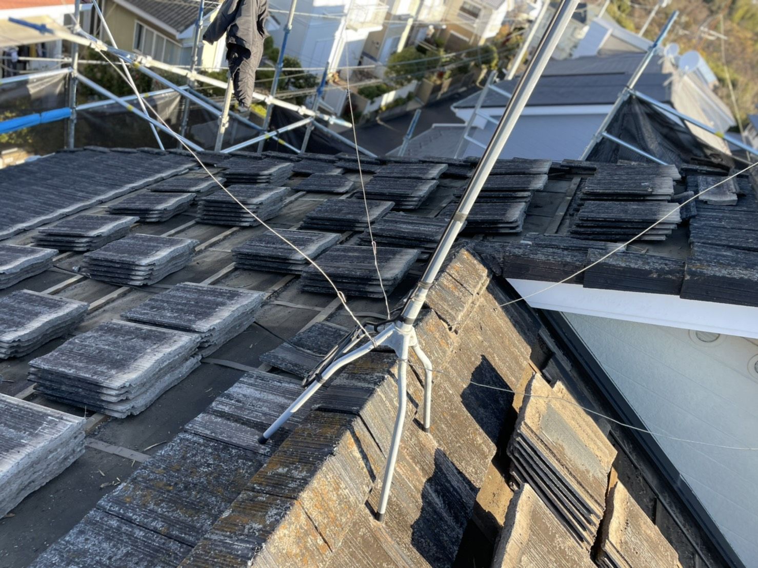 多摩区　葺き替え　ディプロマットスター