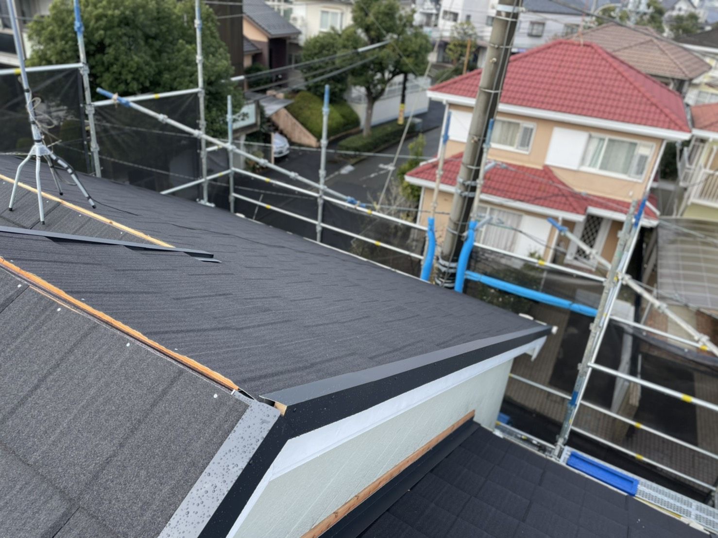 多摩区　葺き替え　ディプロマットスター