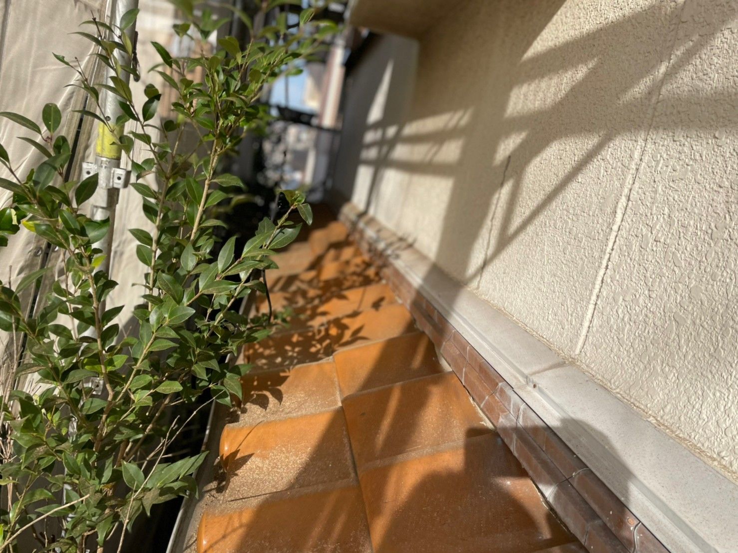 屋根　葺き替え　ディプロマットスター