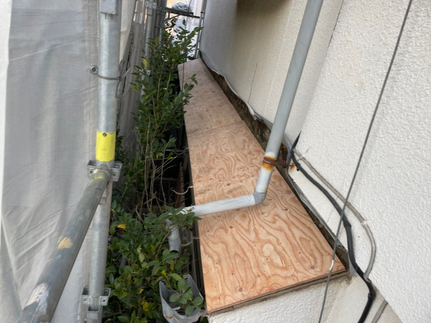 屋根　葺き替え　ディプロマットスター