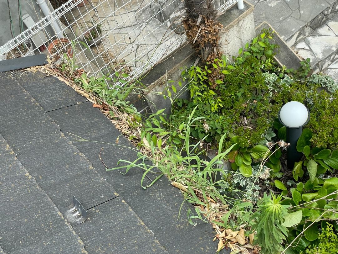 麻生区　雨樋清掃